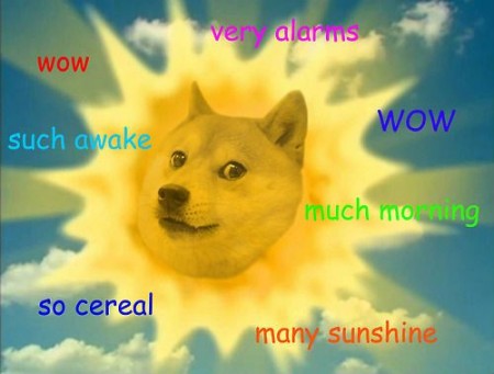 crooked manners doge sun