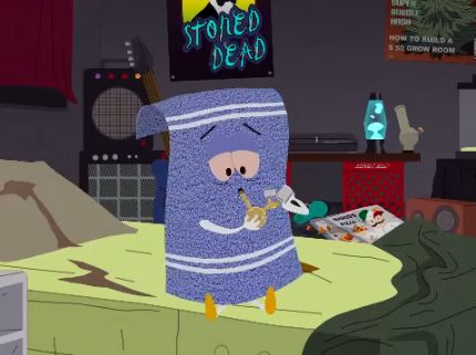 Towelie